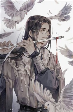 Đại Minh Võ Phu